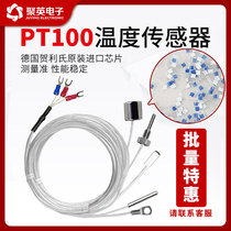 Germany imports spot PT100 platinum resistance thermoresistance temperature probe PT100 temperature sensor high accuracy