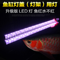 Sensen fish tank LED lamp aquarium lighting lamp holder with lamp koi red cylinder head any tank can be used dragon fish