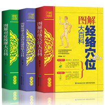 (Full set of 3 volumes)Human meridian acupressure massage Daquan book Chinese medicine massage book Moxibustion scraping cupping Whole body acupuncture books Physiotherapy health and health Zero foundation Learn acupuncture beauty body illustration method teaching