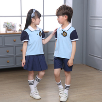 Primary school uniform Short-sleeved cotton sports pink childrens class suit performance suit Kindergarten garden suit Blue summer dress