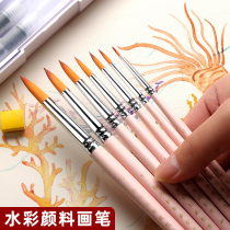 Borglino watercolor pen set beginner special painting nylon hair watercolor paint brush adult hand drawing professional animal hair pointed brush solid watercolor painting pen art tool