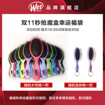 wetbrush snatching the value of double hair comb wet and dry set gift box comb home massage comb