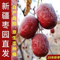 Red jujube Xinjiang jujube Ruoqiang gray jujube Original ecological premium uncleaned natural first-class jujube Non-Hetian jujube
