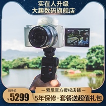 Sony Sony ZV-E10 HD travel live digital selfie vlog micro camera Sony zve10