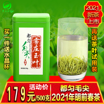 2021 new tea all well propore Mao Jian Guizhou Rain prettier high mountain Cloud mist Handcrafted tender leaves Bulk green tea One catty 500g