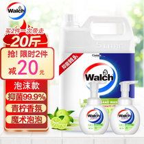 Wallus foam hand sanitizer 5L lime mellow fragrance care supplementary installation hotel kindergarten factory kg VAT