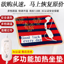 Multifunctional heated cushion female office household electric blanket cushion plug-in chair cushion warm cushion physiotherapy hot compress