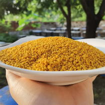 Fresh Lotus pollen natural edible woman pure wall broken bee pollen 1kg 500g