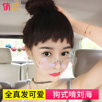 Two-dimensional real hair dog chew bangs wig natural round face eyebrows short bangs repair face no trace female fake bangs