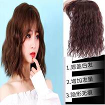 Corn hot wig hair reissue female hair sparse cover white hair real hair no trace light and fluffy curly curled hair piece