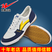 Double star sports shoes canvas table tennis and badminton shoes Double star advanced table tennis shoes mens and womens training shoes casual fitness shoes