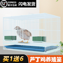 Rutin chicken special cage Chicken cage Brood home breeding cage Rabbit cage Quail little yellow duck Cole duck small pet cage