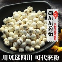 Sichuan Beichuan fritillary Four Sichuan fritillaries are imitating wild planting Chinese herbal medicine Dairakawa Bay Powder 50 gr