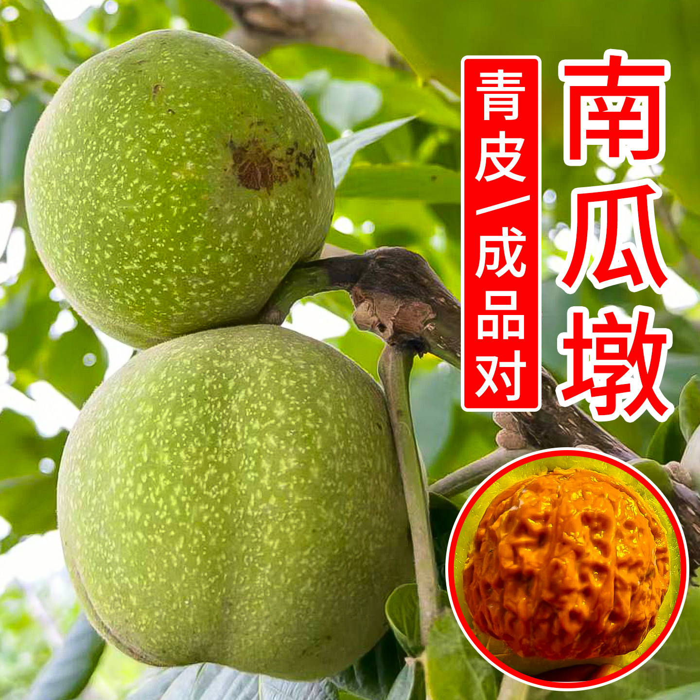 文玩核桃南瓜墩-文玩核桃南瓜墩促销价格、文玩核桃南瓜墩品牌- 淘宝