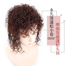 Head hair patch female bangs wig hair wool roll fluffy small curls Real hair Invisible incognito cover white hair