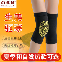  Knee pads cover sheath to keep warm old and cold legs hot compress men and women joint ginger self-heating paint thin summer cold protection