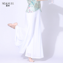 Practice clothes wide leg pants Chinese style classical dance performance elegant double-layer summer water yarn pants loose pants skirt women