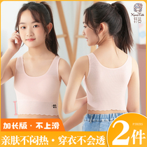 Adolescent Girls Lingerie Hair Growth Period Little Vest 12-16 Year Old Girl Child Girls Junior High School Middle School Student Bra Thin