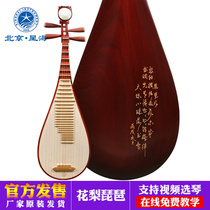 Xinghai pipa musical instrument African red sandalwood material original wood color engraved poem pipa pear professional performance pipa piano