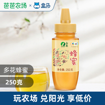 (Baba Farm)COFCO Mountain Extract honey 250g Multi-flower Baihua honey mellow and delicious nourishing small bottle