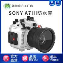 Sea frog seafrogs Sony SONY A7RIII A7M3 a9 camera diving shell underwater SLR waterproof shell