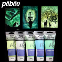 Bebeio Pebeo luminous acrylic pigment luminous wall painting pigment acrylic hand painted paint 100ML five colors