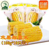 (Northeast agricultural sister) 100g * 10 segment sweet corn ear fruit type corn tender sweet crisp juicy ready to eat