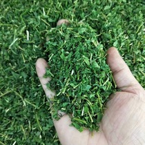 Guangxi authentic Lingshan specialty Acacia Vine tea Acacia Tea a catty 2 bags buy 2 jin send 100 grams