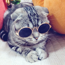 Pet cat glasses cat sunglasses retro cool cat funny photo props cat with personality accessories dog