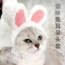  Net celebrity pet cat rabbit ear headgear Rabbit cat cat hat Cute birthday decoration headdress dress up