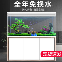 Large medium and small fish tank aquarium living room floor-to-ceiling household glass goldfish tank lazy people change water ecological with bottom cabinet