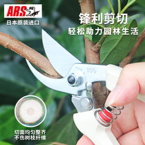 Japan imported ARS Alice pruning shears scissors Fruit tree pruning branches gardening garden shears