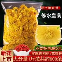 Chrysanthemum tea A cup of gold silk chrysanthemum bulk 500 grams of large fetal chrysanthemum king rhubarb dried chrysanthemum tea leaves