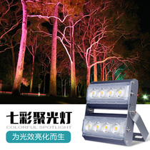led color spotlight outdoor waterproof long-range light tree floodlight exterior wall Spotlight lighting engineering tree light