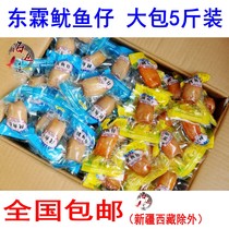Dalian produced Donglin spicy original spicy spicy barbecue squid fillet fish with seeds
