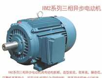 Shandong Huali HM2 HM2VP variable frequency speed motor YE3 high efficiency energy-saving motor 0 75-315KW