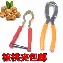 Holding large walnut tool peeling walnut clip pressing walnut artifact spade crusher pecan clip walnut pliers