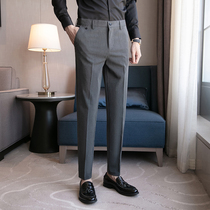 High-end trousers men's slim stretch autumn and winter thick business casual suit trousers professional formal suit trousers