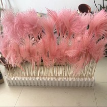 Home Photo Props Natural Reeds Dried Flowers Bouquet Wheat Ears Dry Flowers Emulation Flowers Fields Garden Decoration Ins Photo Pass