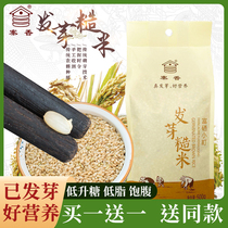 Zhaoxiang germinated brown rice small town germination rice coarse grain 500g grain rice fitness satiety low germ Rice