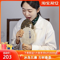 5 cake full mention) Yuting home Iceland Wuzhai Puer tea raw tea Yunnan Qizi cake ancient tree tea Super 500g