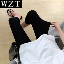 Pregnant women leggings summer thin seven-point shorts fashion summer wear underbelly gray stretch pants