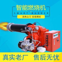 Size oil-fired machine diesel manufacturer boiler burner Natural Gas Gas methanol burner biogas
