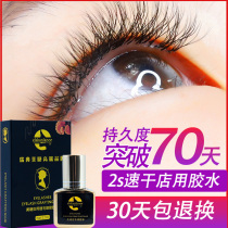 Eyelash shop special grafting eyelash glue Quick-drying ultra-long-lasting eyelash glue Quick-drying ultra-sticky firm hypoallergenic