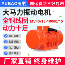  MV40 15-10000 15 Industrial vibration motor 380v three-phase asynchronous vibration motor Lower silo vibrator