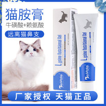 Double Mette Cat Amine Cream Feline Taurine Prevention Cat Nose Support Nutritional Paste Cat Ammonia Paste Cat Ampaste Feline Kidney