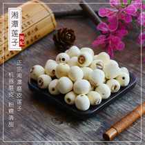 Min concubine grinding lotus seed dry goods without core 500g new goods Xiangtan farm specialty Special White Lotus inch three Lotus to core