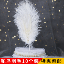 Ostrich hair cake decoration plug-in baking feather decoration White Pearl ostrich hair dessert table dress