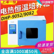 Shanghai Yicheng DHP-9012 9032 9052 9082 9162B Electrothermal constant temperature incubator Laboratory