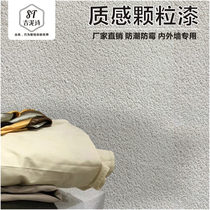 Art paint Texture texture granular paint Indoor and exterior wall environmental protection TV background wall paint white granular sand material